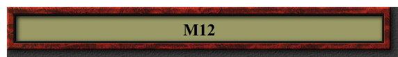 M12